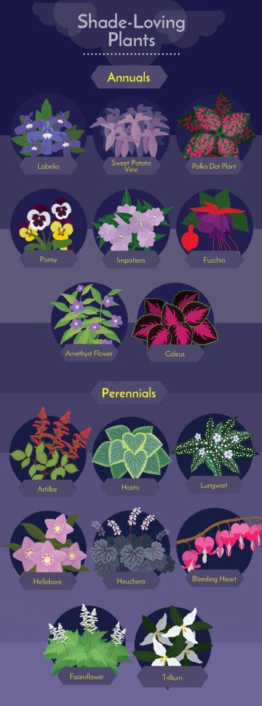 Shade loving plants Challenging Garden Styles