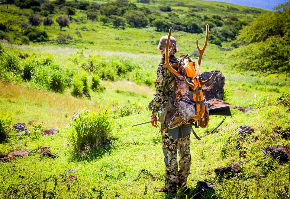 Axis Deer Hunting in Hawaii 2