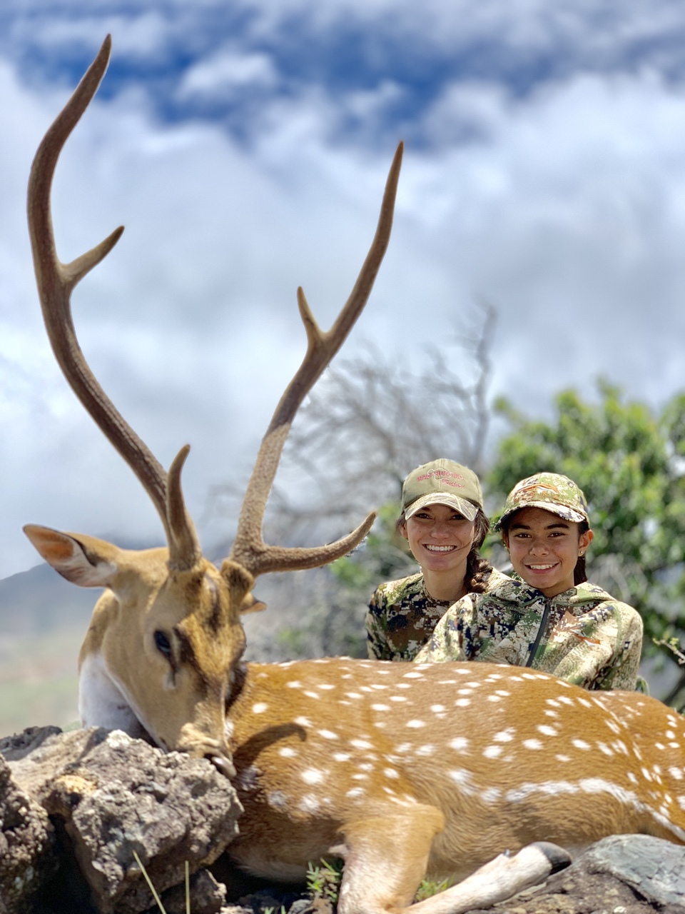 Hawaii axis deer with 2 hunters