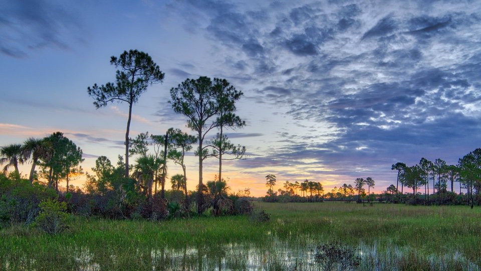 big cypress nps joey waves Remarkable Hikes