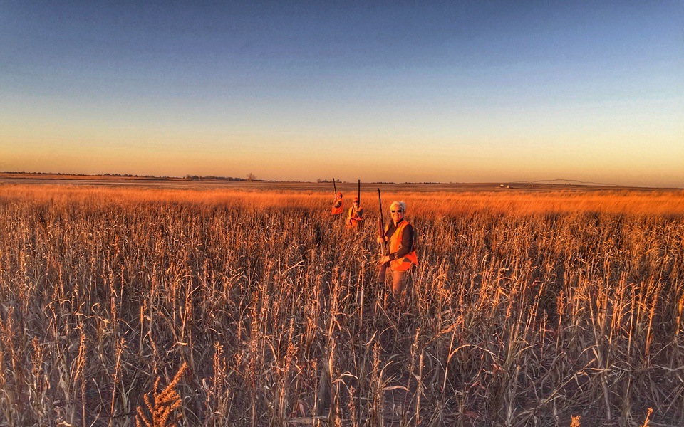 CRP Fields