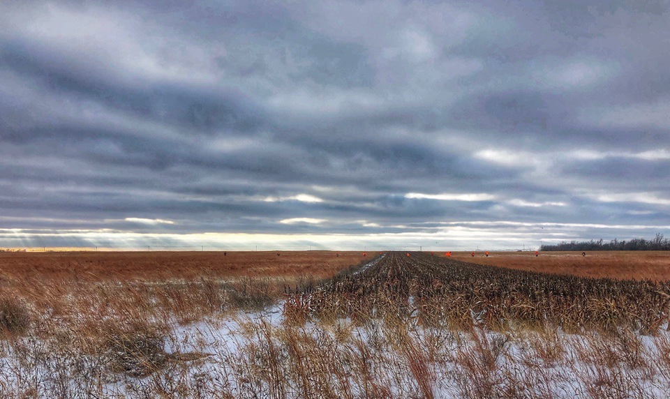  Upland Bird Habitat Buffer Initiative CRP Fields