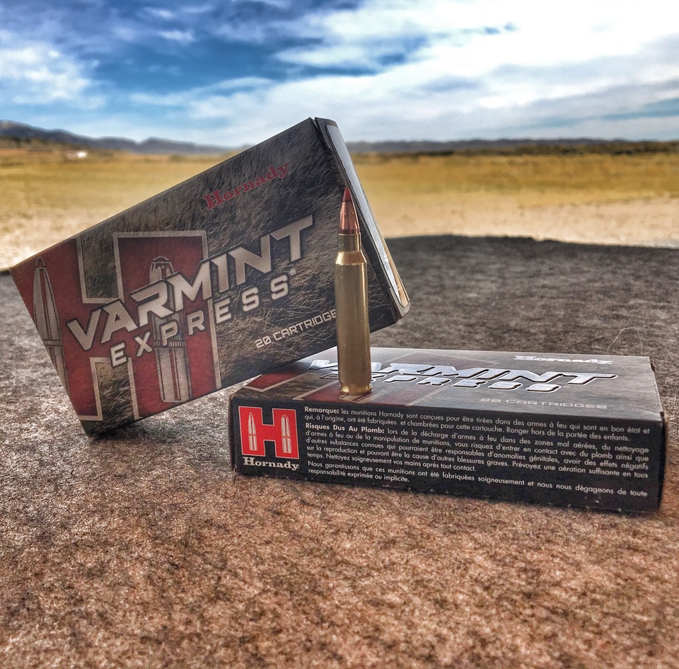 Hornady Varmint Express 55 grain in .223 Remington