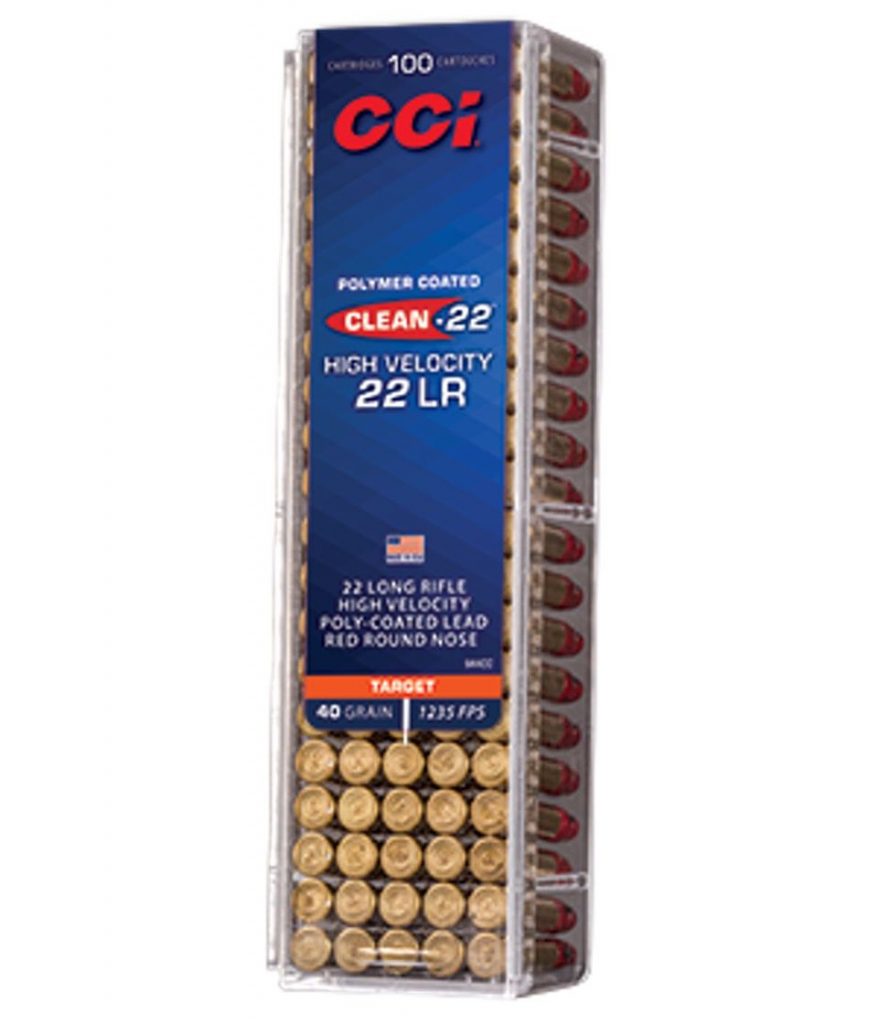 .22 ammo