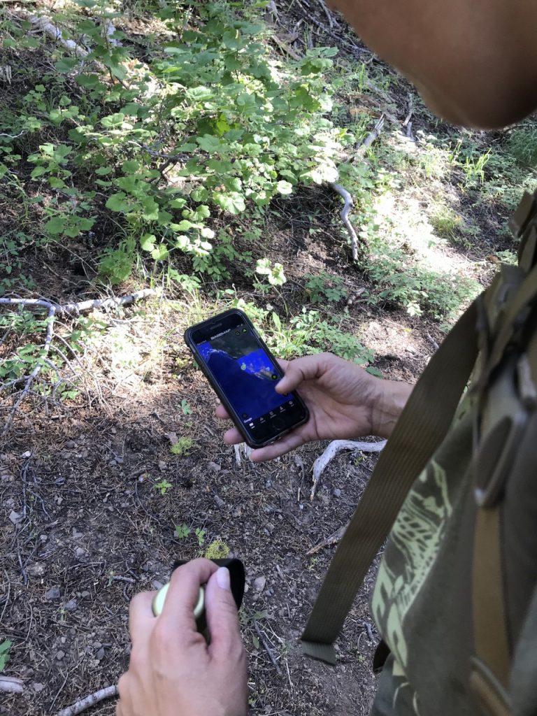 Tips for Finding the Perfect Hunting Spot and Scouting e-scoutin