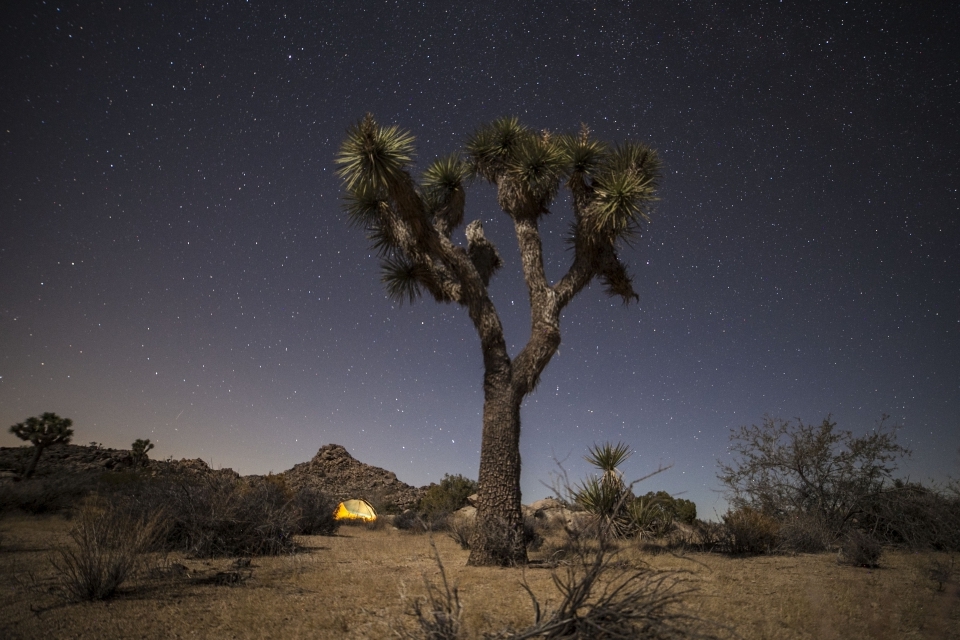 Magic of Camping National Parks