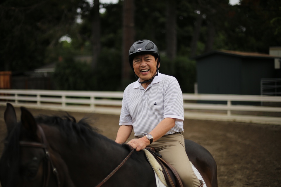 Perfect Athlete dressage horse