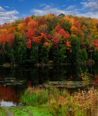 Fall fishing spots autumn trees