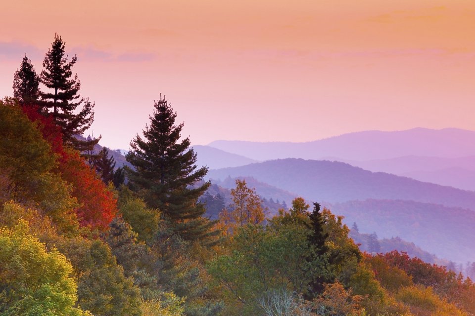 National Park Foundation Leaf Peep GREAT SMOKY MOUNTAINS