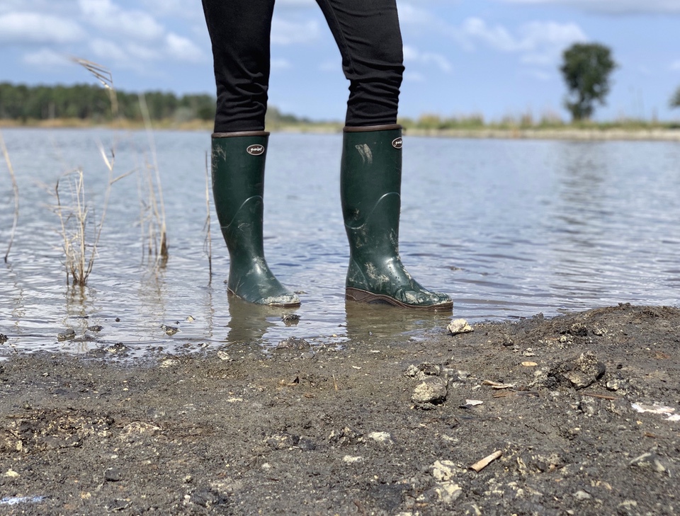 Gumleaf USA Saxon Wellies