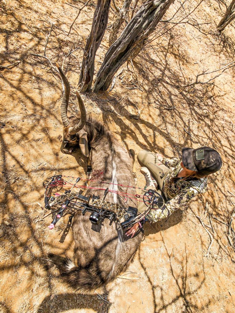 Archery Hunting in South Africa Bowhunting