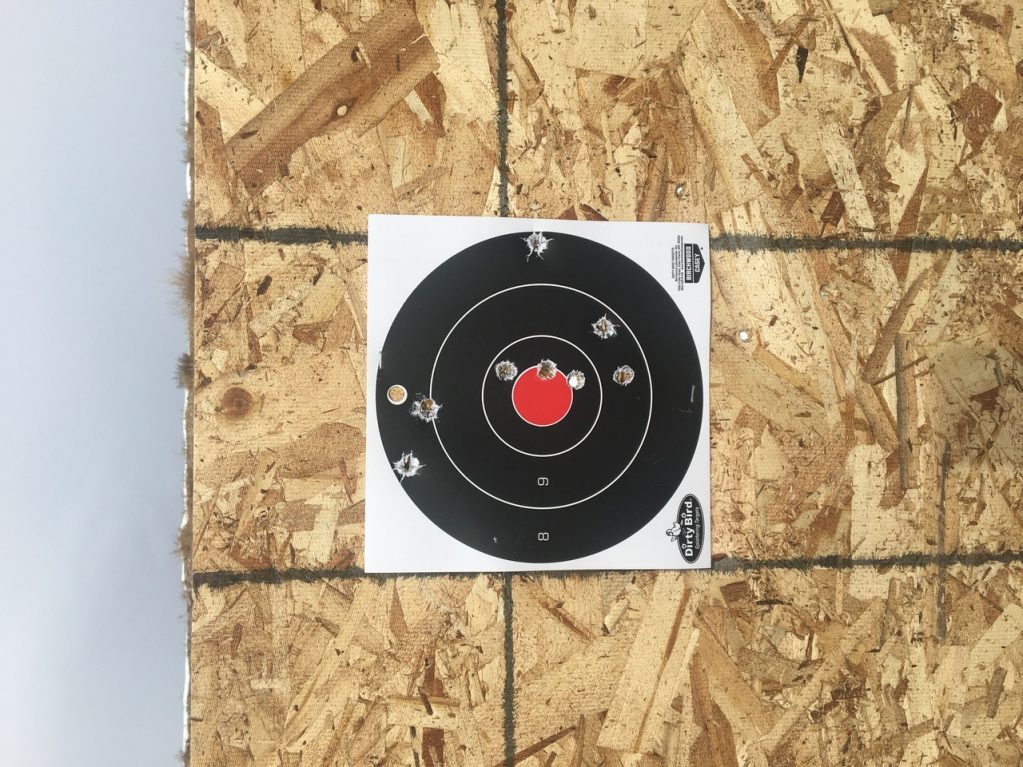 Birchwood Casey Dirty Bird Target, 8-inch bear defense gun