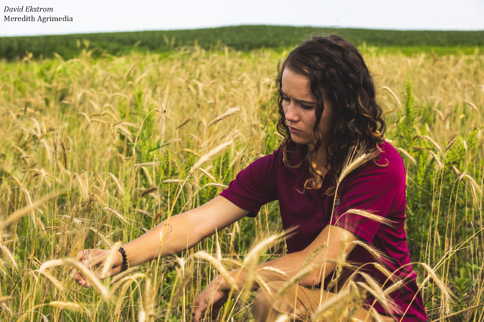 Melissa_Crop in field