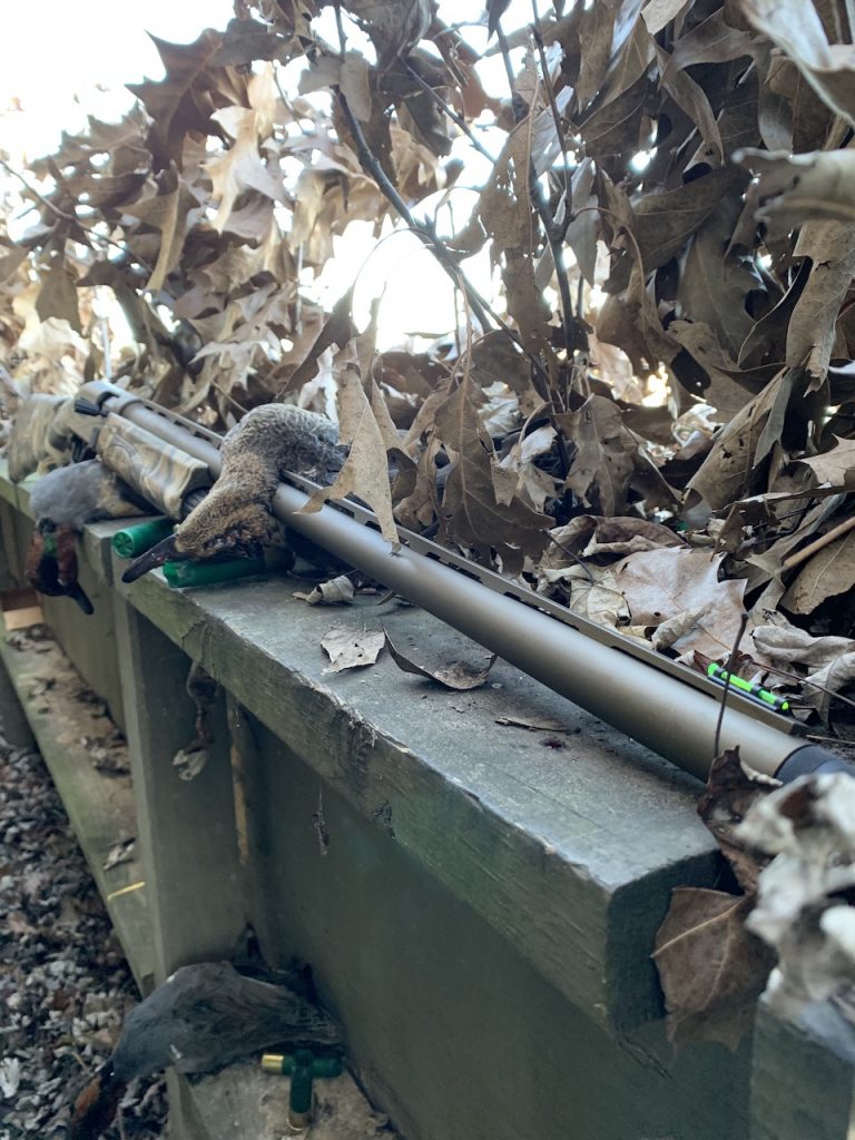 Remington Waterfowl V3 Duck Hunt