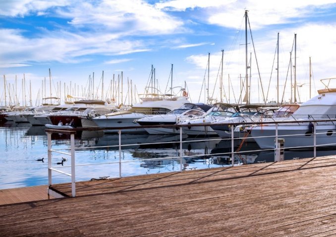 View from the Marina: Suggestions for Your 2020 Plan