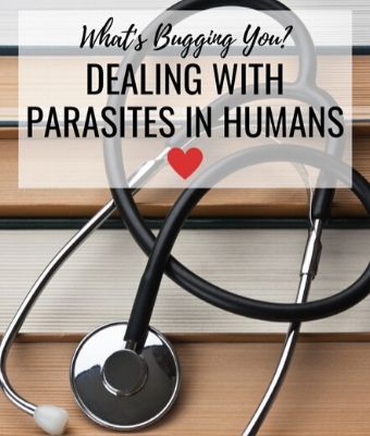 parasites in humans feature