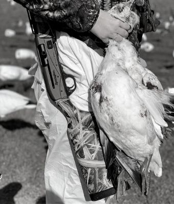 Hollis Lumpkin Remington V3 goose photo black white