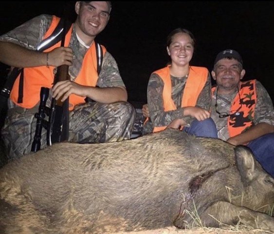 Hog Hunt in North Carolina