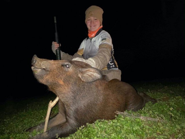 Hog Hunt in North Carolina