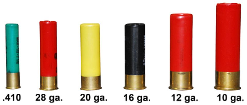 shotgun shells