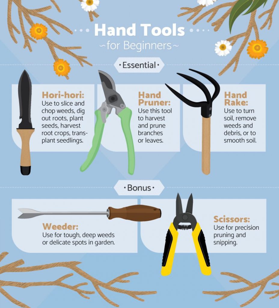 FIX.com Essential Tools for Beginner Gardeners