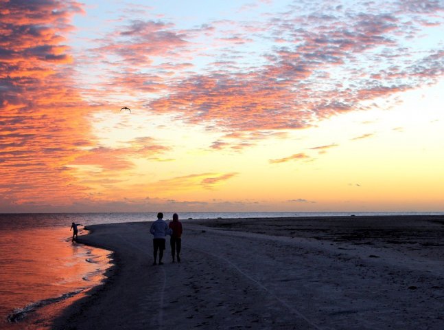 Fort Myers Florida Beach Social Distancing the Natural Way