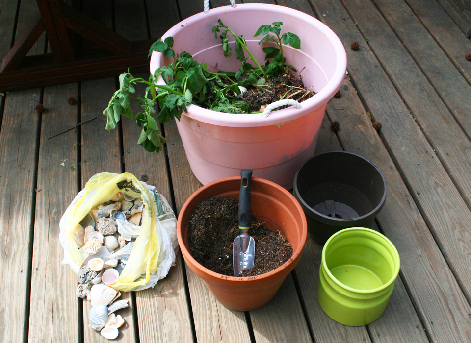 Compost Volunteer Garden Materials