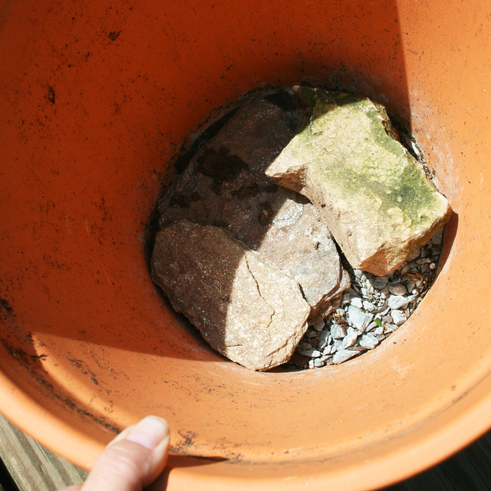 Prepping the Pot