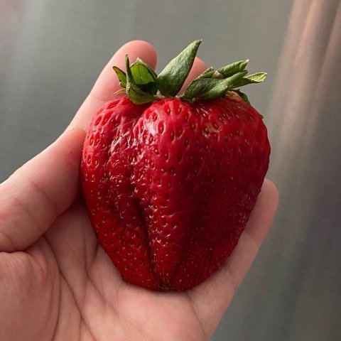 Strawberries Visible Seeds 960x960