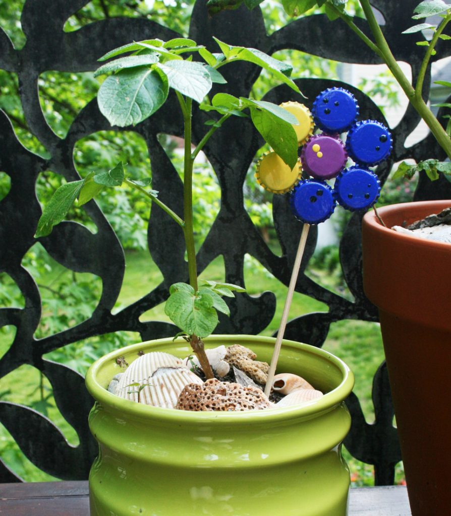 Upcycled Bottle Cap Flowers Compost Garden