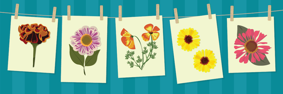 crafting-with-dry-flowers-header