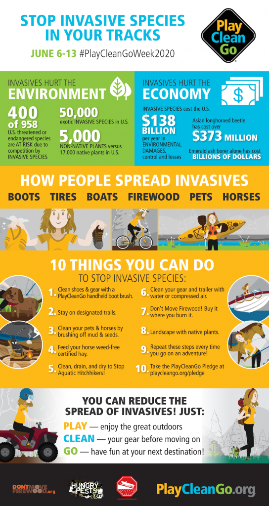 Camping Itinerary – A Guide on How to Do Your Part to Prevent the Spread –  Invasive Species Centre