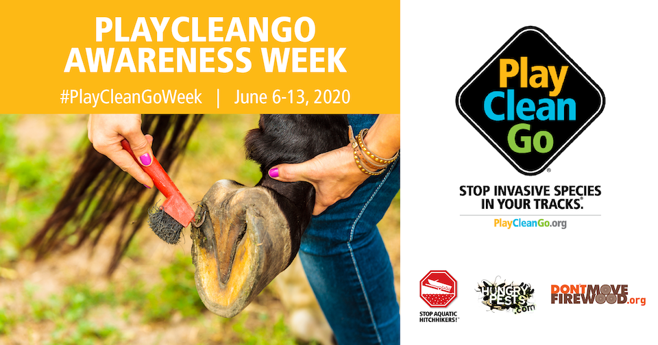 Playcleango awareness week