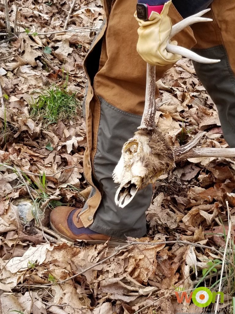 hiking  Ozarks with skull