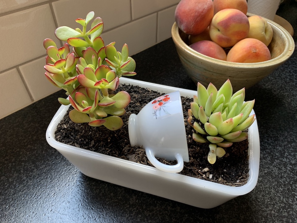 finished DIY succulent in loaf pan copy