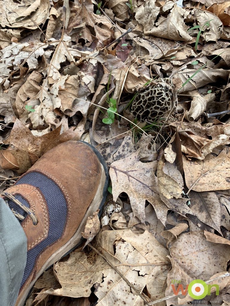 windrose boot hiking with mushroom