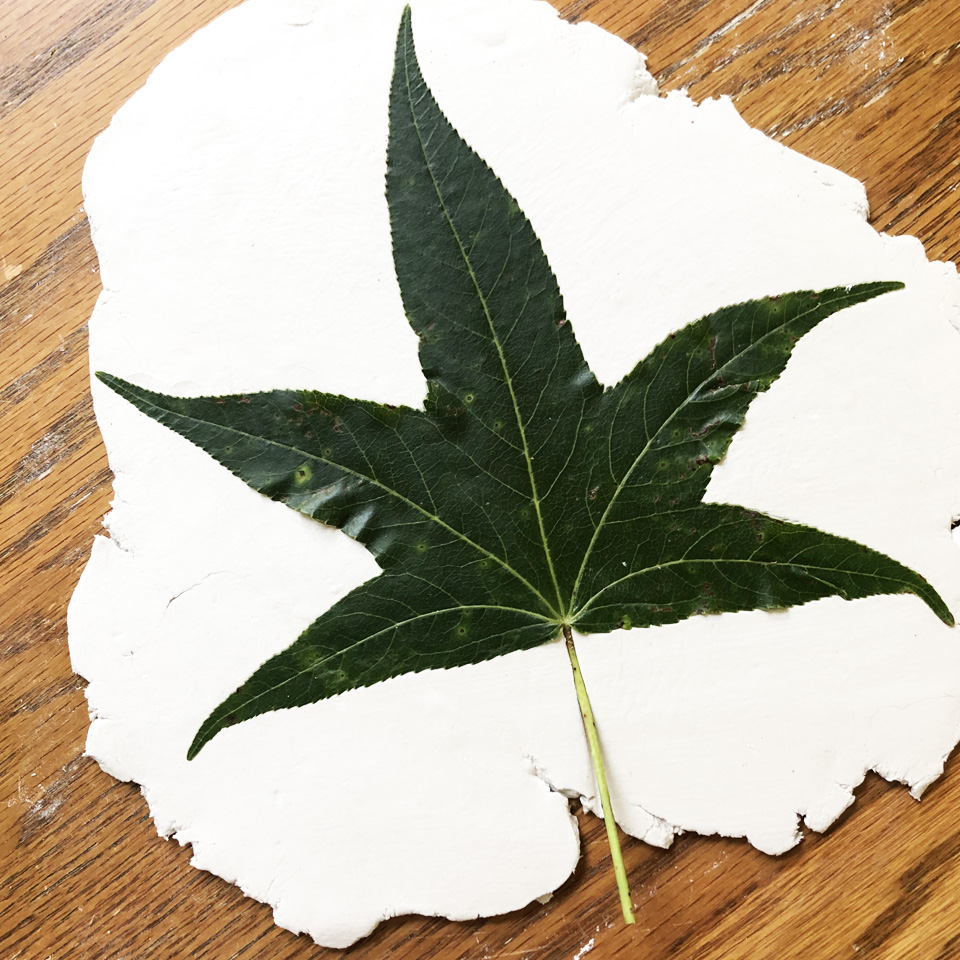 Pressing Gum Ball Leaf into Clay