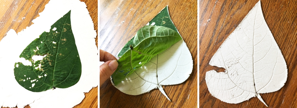 Purple Podded Pole Bean Leaf in Clay Collage