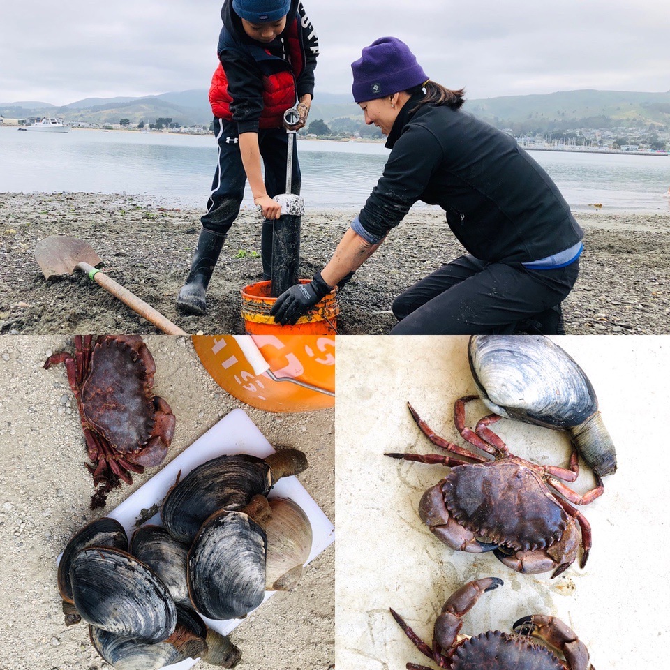 an outing to dig for horseneck clams during the Coronavirus Pandemic