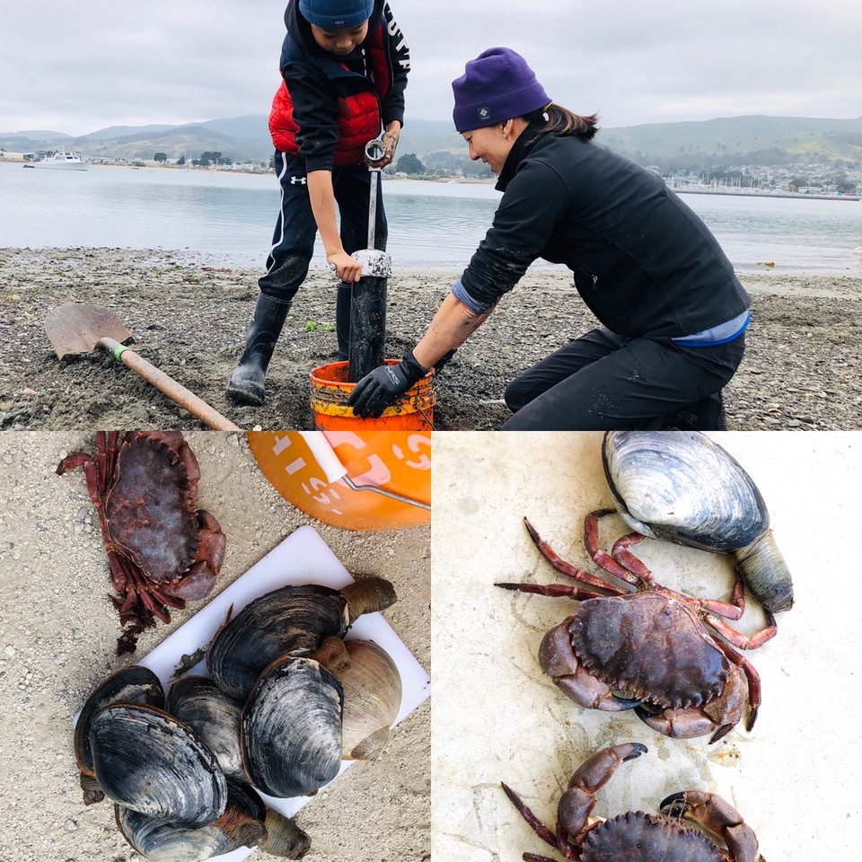 an outing to dig for horseneck clams during the Coronavirus Pandemic