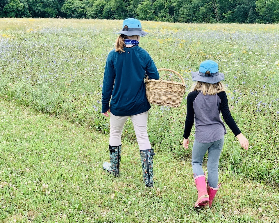 get outside collect wild flowers for your pressed flower bookmarks