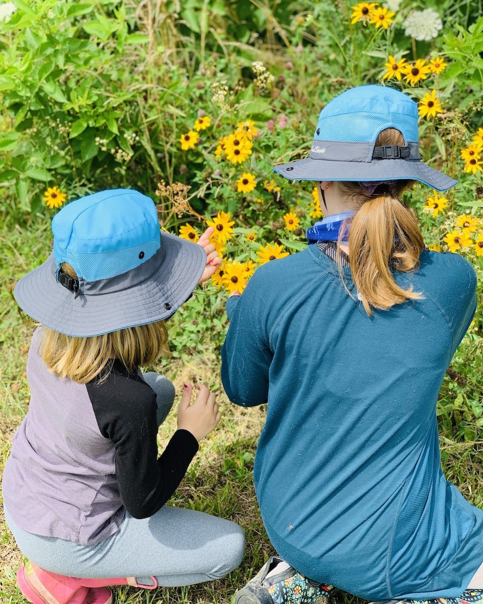 get outside collect wildflowers