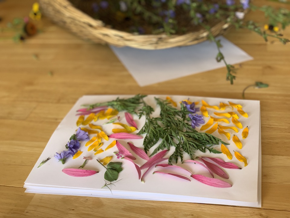 petals on paper to dry flowers for pressed flower bookmarks