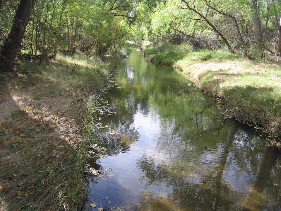 Cienega Creek