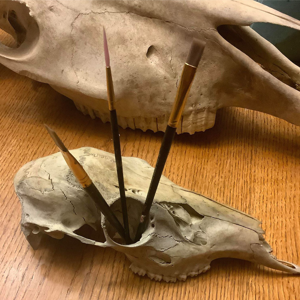 Deer Skull and paintbrushes (Makayla Scott)