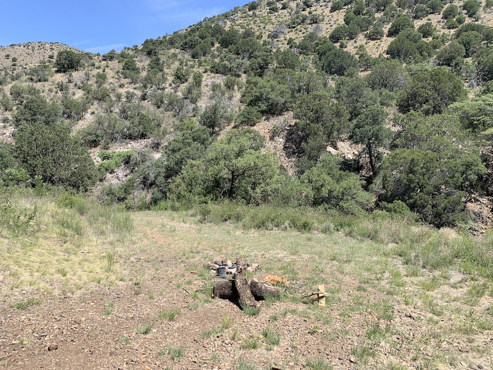 logs near hill for shelter