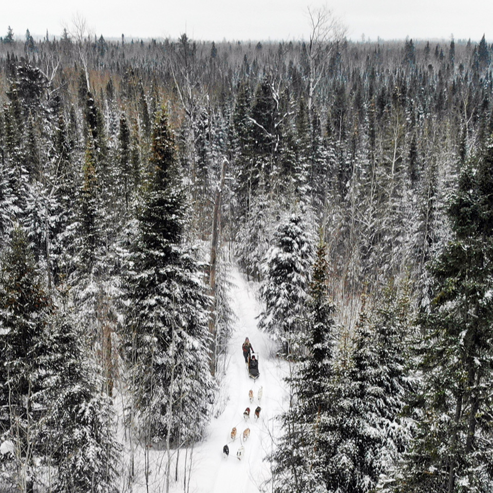 Dog sledding Drone Image