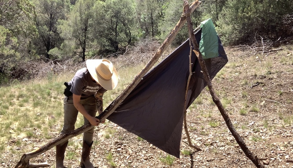 Shelter building