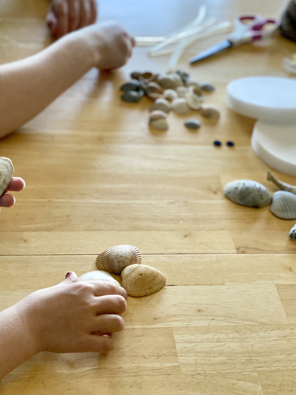 Anna and Rose start their sea shell craft designs