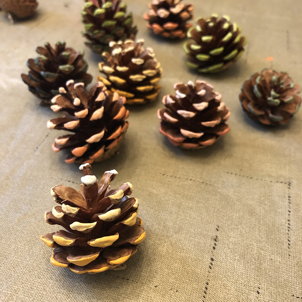 Drying Ombre Pinecones